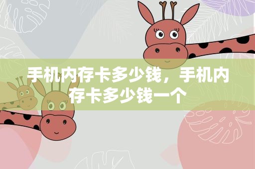 手机内存卡多少钱，手机内存卡多少钱一个
