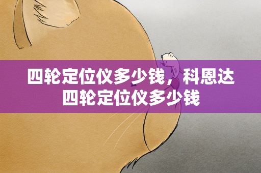 四轮定位仪多少钱，科恩达四轮定位仪多少钱