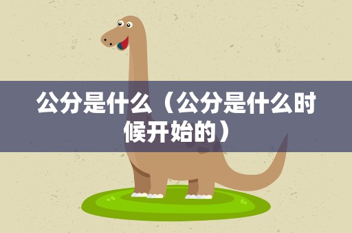 公分是什么（公分是什么时候开始的）