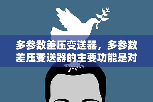 多参数差压变送器，多参数差压变送器的主要功能是对多种介质