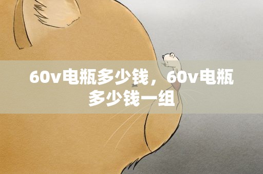 60v电瓶多少钱，60v电瓶多少钱一组