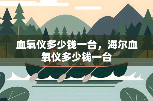 血氧仪多少钱一台，海尔血氧仪多少钱一台