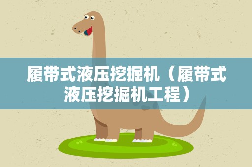 履带式液压挖掘机（履带式液压挖掘机工程）