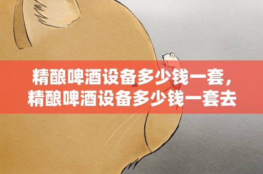 精酿啤酒设备多少钱一套，精酿啤酒设备多少钱一套去找