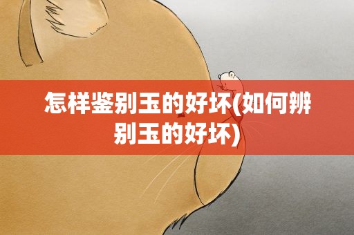 怎样鉴别玉的好坏(如何辨别玉的好坏)