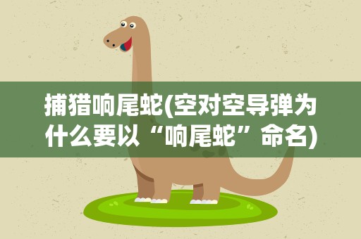 捕猎响尾蛇(空对空导弹为什么要以“响尾蛇”命名)