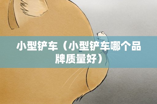 小型铲车（小型铲车哪个品牌质量好）