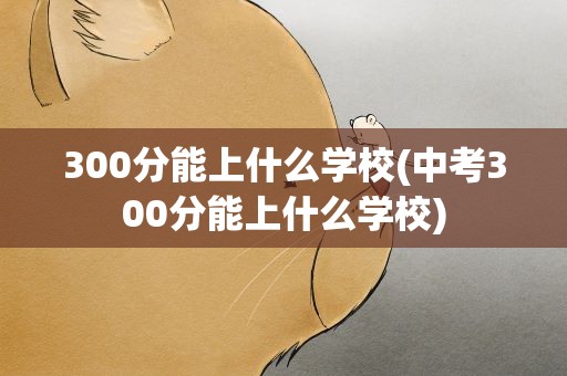 300分能上什么学校(中考300分能上什么学校)