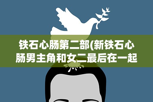 铁石心肠第二部(新铁石心肠男主角和女二最后在一起了吗)