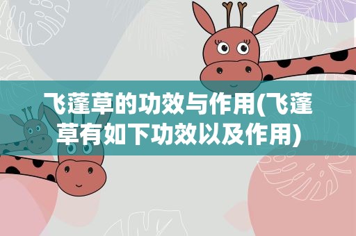 飞蓬草的功效与作用(飞蓬草有如下功效以及作用)
