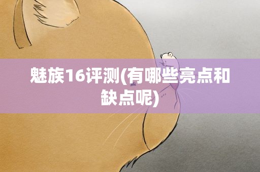 魅族16评测(有哪些亮点和缺点呢)
