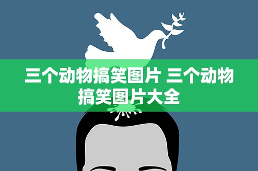 三个动物搞笑图片 三个动物搞笑图片大全