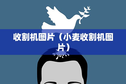 收割机图片（小麦收割机图片）