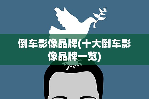 倒车影像品牌(十大倒车影像品牌一览)