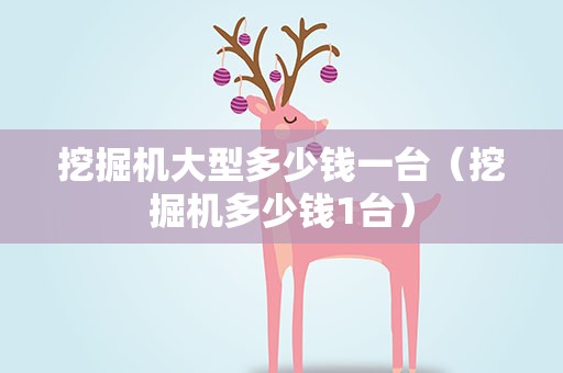 挖掘机大型多少钱一台（挖掘机多少钱1台）