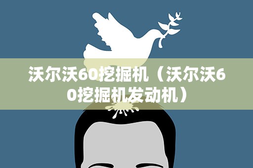 沃尔沃60挖掘机（沃尔沃60挖掘机发动机）