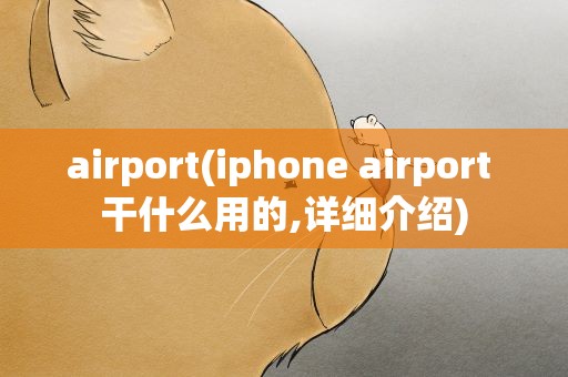 airport(iphone airport 干什么用的,详细介绍)