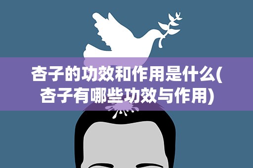 杏子的功效和作用是什么(杏子有哪些功效与作用)