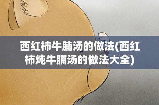 西红柿牛腩汤的做法(西红柿炖牛腩汤的做法大全)