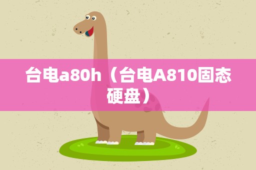 台电a80h（台电A810固态硬盘）
