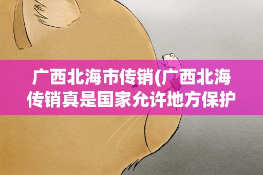广西北海市传销(广西北海传销真是国家允许地方保护)