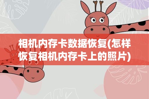相机内存卡数据恢复(怎样恢复相机内存卡上的照片)