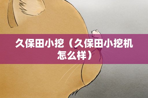 久保田小挖（久保田小挖机怎么样）