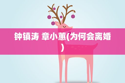 钟镇涛 章小蕙(为何会离婚)