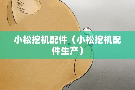 小松挖机配件（小松挖机配件生产）
