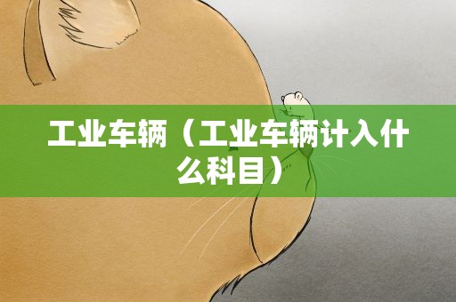 工业车辆（工业车辆计入什么科目）