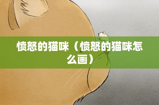 愤怒的猫咪（愤怒的猫咪怎么画）