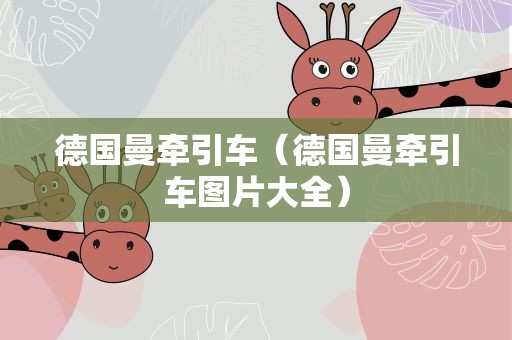 德国曼牵引车（德国曼牵引车图片大全）