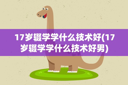 17岁辍学学什么技术好(17岁辍学学什么技术好男)
