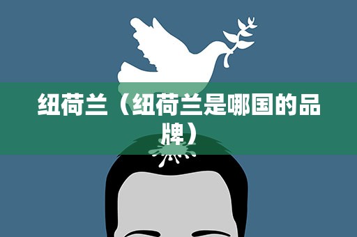 纽荷兰（纽荷兰是哪国的品牌）