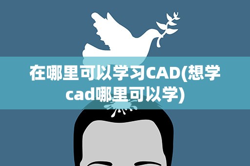 在哪里可以学习CAD(想学cad哪里可以学)