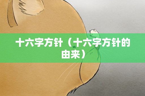 十六字方针（十六字方针的由来）