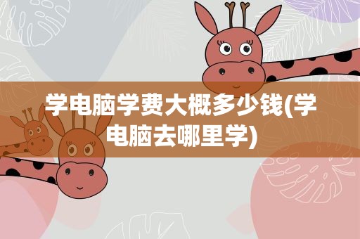 学电脑学费大概多少钱(学电脑去哪里学)