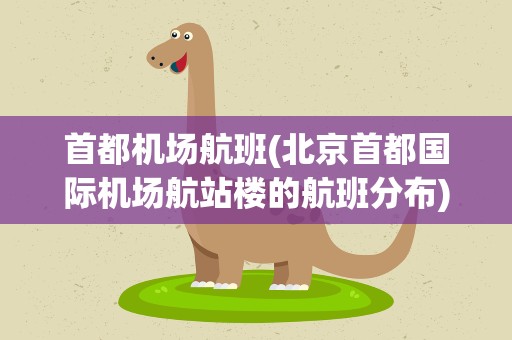 首都机场航班(北京首都国际机场航站楼的航班分布)