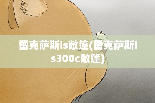 雷克萨斯is敞篷(雷克萨斯is300c敞篷)