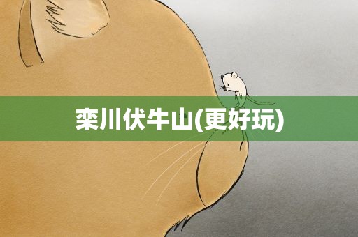栾川伏牛山(更好玩)