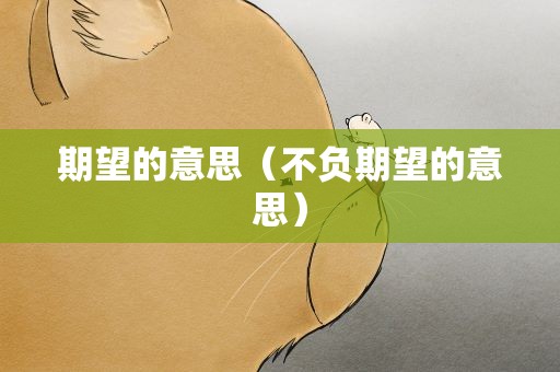 期望的意思（不负期望的意思）
