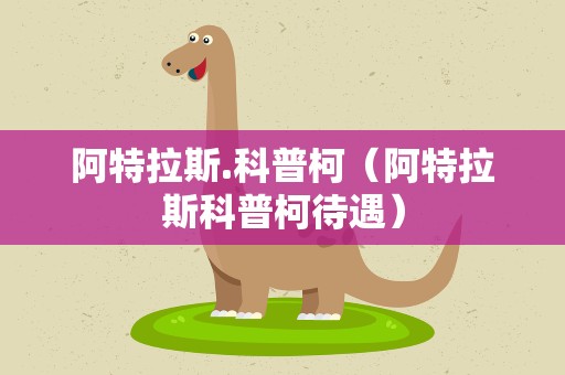 阿特拉斯.科普柯（阿特拉斯科普柯待遇）