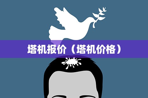 塔机报价（塔机价格）