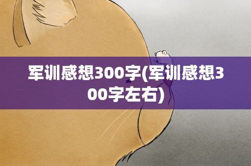 军训感想300字(军训感想300字左右)