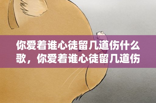你爱着谁心徒留几道伤什么歌，你爱着谁心徒留几道伤什么歌DJ