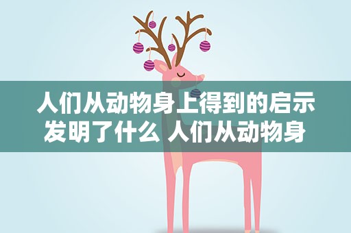 人们从动物身上得到的启示发明了什么 人们从动物身上得到的启示发明了什么呢