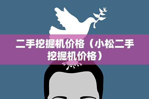 二手挖掘机价格（小松二手挖掘机价格）