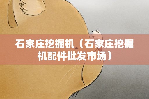 石家庄挖掘机（石家庄挖掘机配件批发市场）