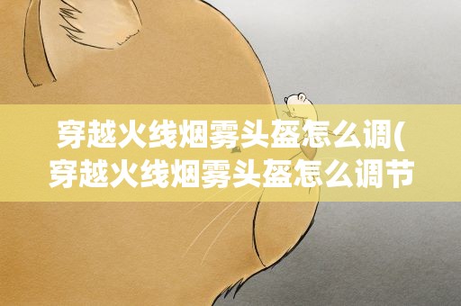穿越火线烟雾头盔怎么调(穿越火线烟雾头盔怎么调节)