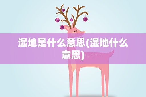 湿地是什么意思(湿地什么意思)